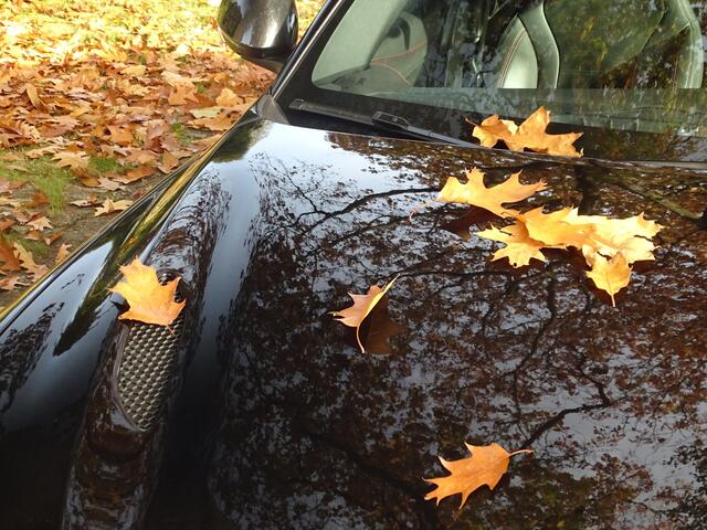 Alfa Romeo GIULIA 2.9 V6 Quadrifoglio | BTW-auto | Akrapovic | Carbon | Keyless entree