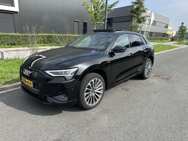 Audi e-tron 55 quattro 95 kWh S Line Pano, Leder, B&O, Keyless, Camera