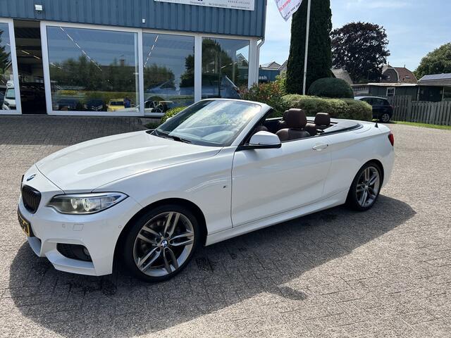 BMW 2-SERIE Cabrio 220i Centennial High Executive