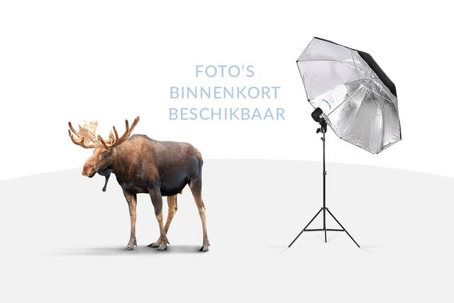 BMW 3-SERIE Touring 330i xDrive | M-Sport | Adaptive