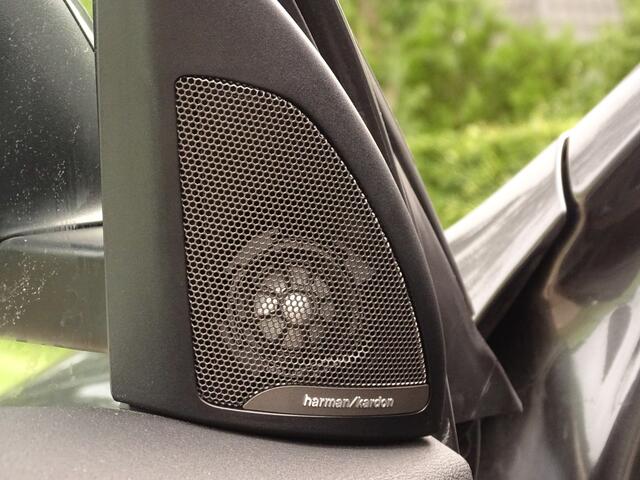 BMW X1 sDrive20i Sport-Line | H+K | Carplay | 1e Eig. | 18inch-Allwheater | St.verw. | Sportstoelen
