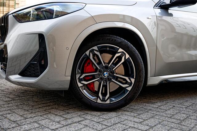 BMW X1 sDrive20i M-Sport, Panoramadak, 19" LM velgen, enz