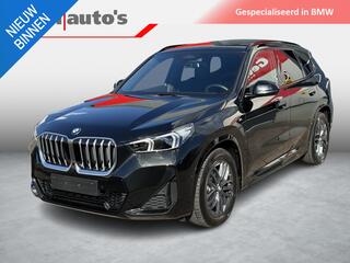 bmw-x1-sdrive20i-m-sport-pano-massa