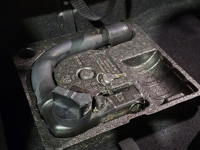 BMW X1 xDrive20i Centennial High Executive Navi | Trekhaak | Sensoren v+a