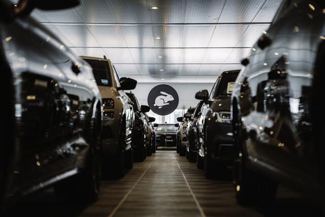 BMW X2 xDrive25e M Sport full opt|Pano dak|Harman|Head up