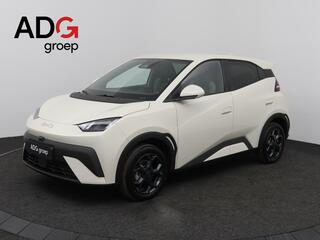 byd-dolphin-surf-comfort-43-kwh