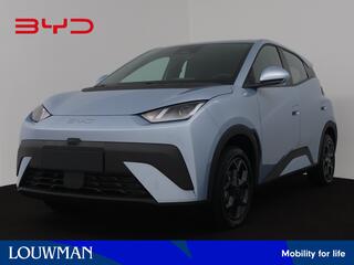 byd-dolphin-surf-boost-43-kwh--nie