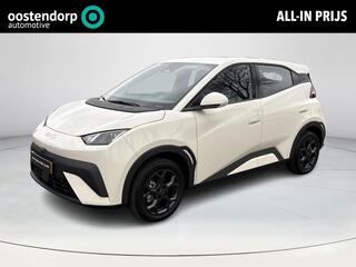 byd-dolphin-surf-boost-43-kwh--¤20