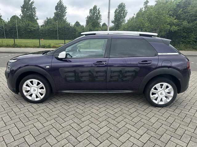 Citroen C4 CACTUS 1.2 PureTech Business Plus|pano|clima