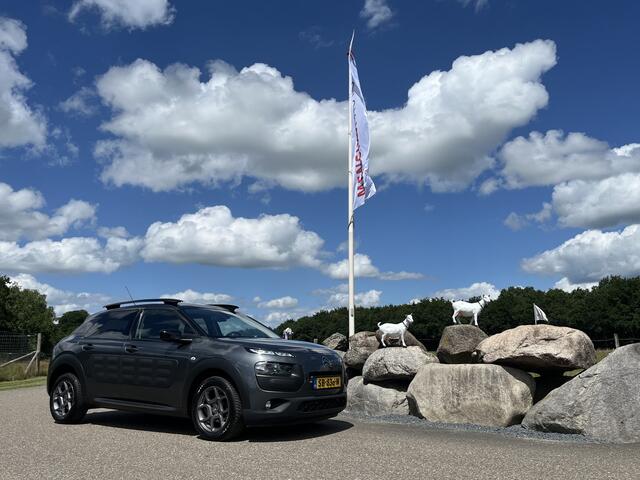 Citroen C4 CACTUS 1.6 BlueHDi PANO DAK CAMERA PARK ASSIST LED NAVI CRUISE ECC TREKHAAK