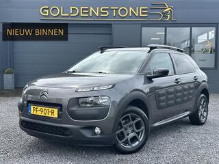 citroen-c4-cactus-1.2-puretech-shin