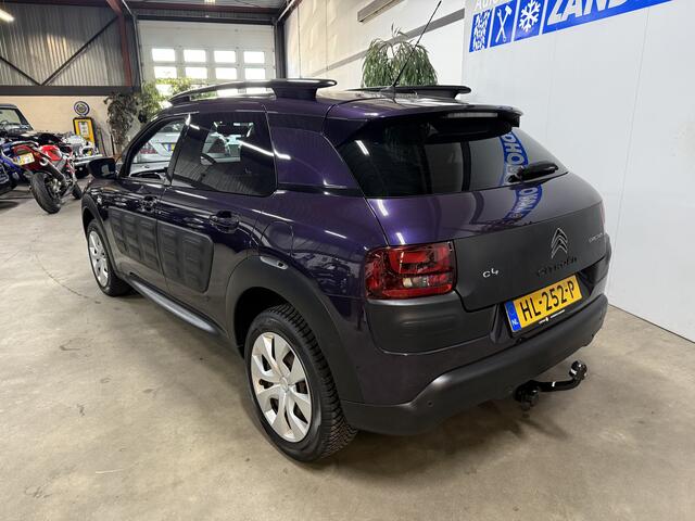Citroen C4 CACTUS 1.2 PureTech Business Plus