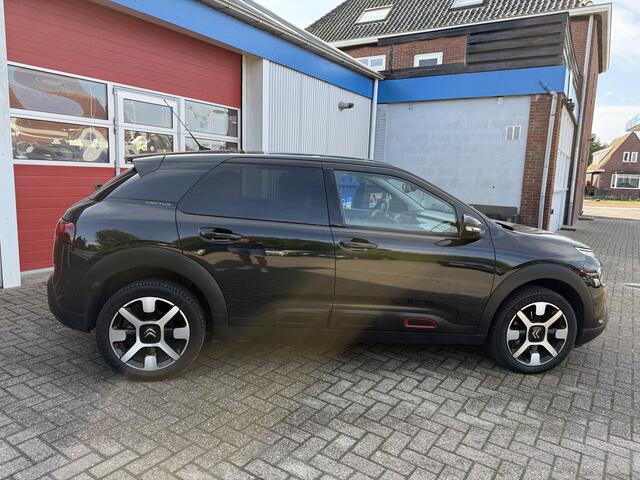 Citroen C4 CACTUS 1.5 BlueHDi 120 Pk | Business | automaat | Business Plus |