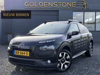citroen-c4-cactus-1.2-puretech-shin