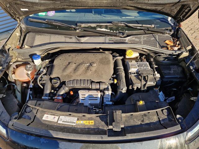 Citroen C4 CACTUS 1.2 PureTech Shine | Airco (automatisch) | Cruise control | Navigatie