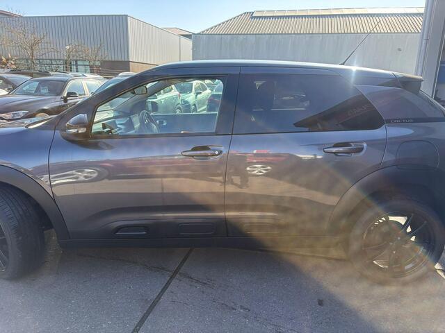 Citroen C4 CACTUS 1.2 PureTech Business Clima, camera, trekhaak