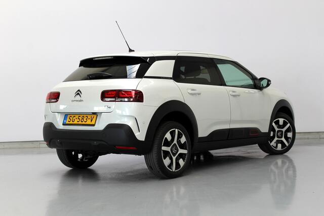 Citroen C4 CACTUS 1.2 PureTech Shine 131PK, PANORAMADAK | DIS-RIEM IS VERVANGEN | CARPLAY
