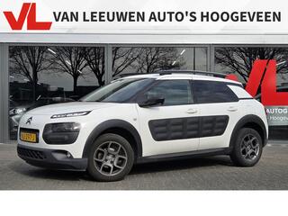 citroen-c4-cactus-1.2-puretech-shin