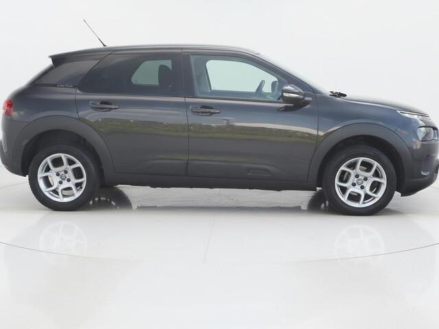 Citroen C4 CACTUS 1.2 PureTech Business | Clima | Cruise | Multimedia/Navi | PDC |