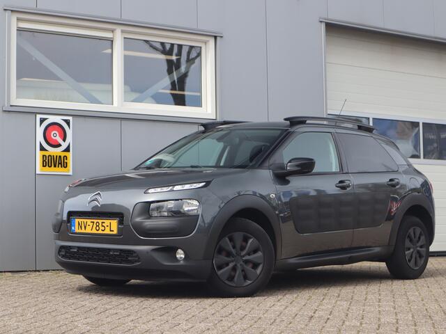 Citroen C4 CACTUS 1.6 BlueHDi Business Plus