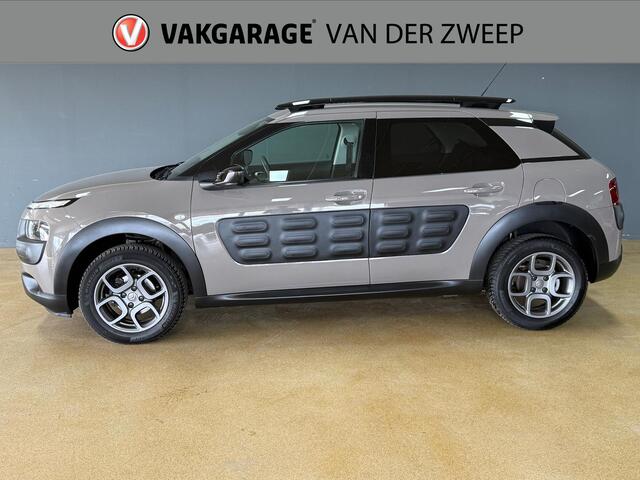 Citroen C4 CACTUS 1.2 PureTech Shine | Camera | Navi