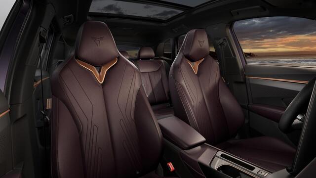 Cupra Terramar 1.5 TSI e-Hybrid 272 6DSG VZ Performance | 360 graden camera | Achteruitrijcamera | Draadloze Apple CarPlay(TM), Android Auto(TM)