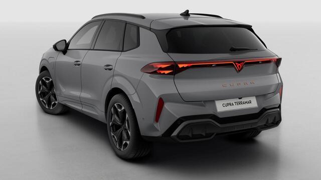 Cupra Terramar 1.5 TSI e-Hybrid 204 6DSG Business | 360 graden camera | Achteruitrijcamera | Draadloze Apple CarPlay(TM), Android Auto(TM)