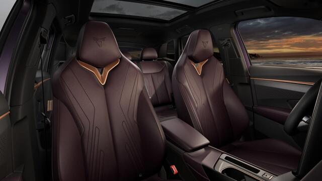 Cupra Terramar 1.5 TSI e-Hybrid 272 6DSG VZ Performance | 360 graden camera | Achteruitrijcamera | Draadloze Apple CarPlay(TM), Android Auto(TM)