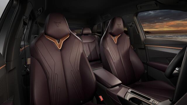 Cupra Terramar 1.5 TSI e-Hybrid 272 6DSG VZ Performance | 360 graden camera | Achteruitrijcamera | Draadloze Apple CarPlay(TM), Android Auto(TM)