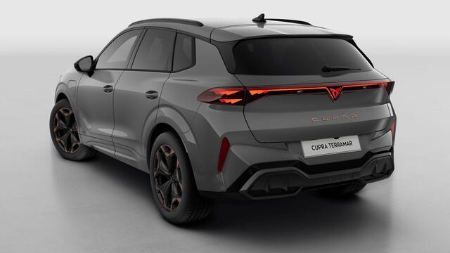 Cupra Terramar 1.5 TSI e-Hybrid 272 6DSG VZ Performance | 360 graden camera | Achteruitrijcamera | Draadloze Apple CarPlay(TM), Android Auto(TM)