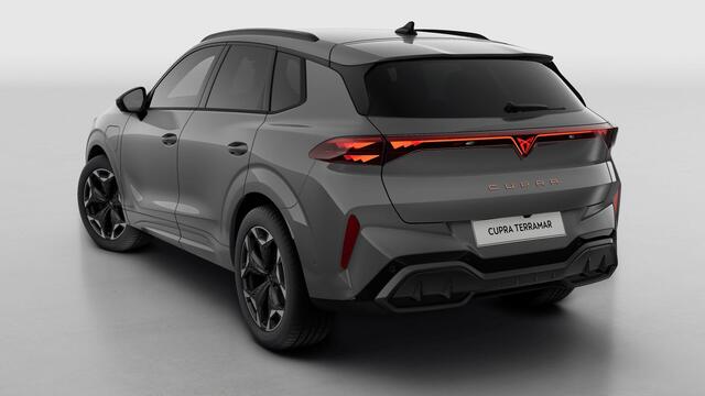 Cupra Terramar 1.5 TSI e-Hybrid 204 6DSG Business | 360 graden camera | Achteruitrijcamera | Draadloze Apple CarPlay(TM), Android Auto(TM)