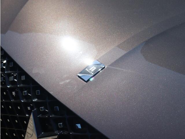 DS DS 4 1.2 Hybrid 136 PK Pallas | Schuifdak | Night Flight | 19"