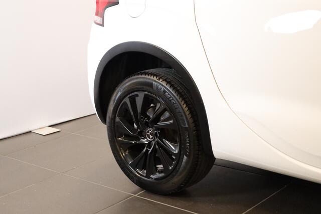 DS DS 4 CROSSBACK PT 130 Business Camera | 17" | Dodehoek detectie etc