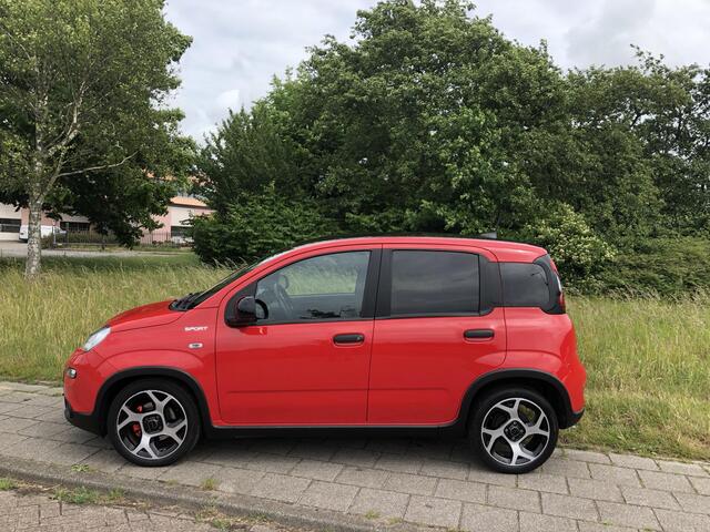 Fiat PANDA 1.0 Hybrid Sport 5-drs CLIMATE|APPLE/ANDROID|TREKHAAK|16"