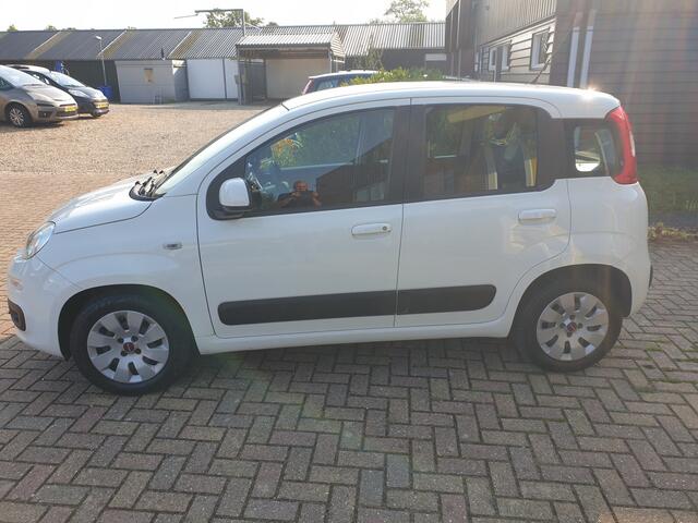 Fiat PANDA 1.2 Edizione Cool