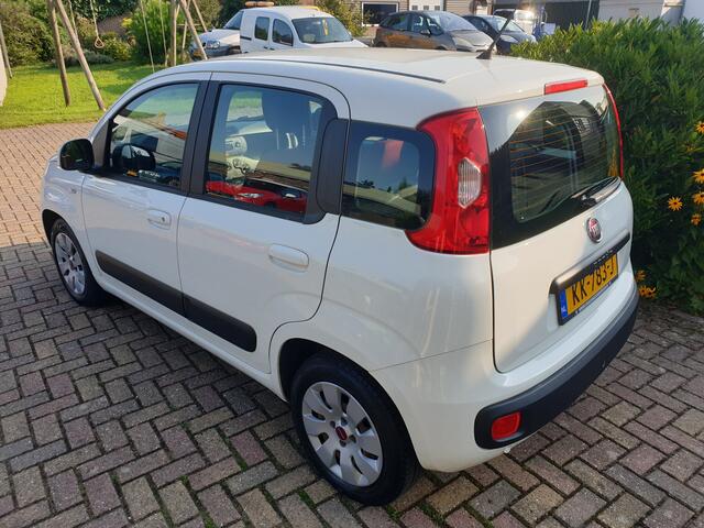 Fiat PANDA 1.2 Edizione Cool