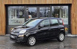 fiat-panda-1.2-popstar