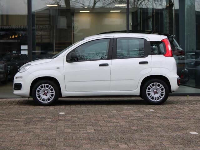 Fiat PANDA 1.2 Popstar | Airco