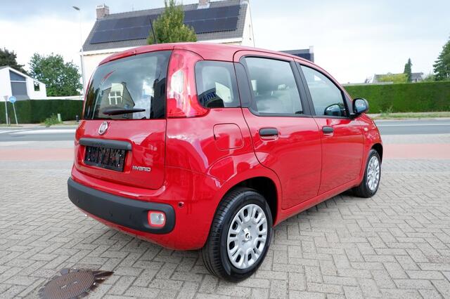 Fiat PANDA 1.0 Hybrid City / INCL. 2 jaar FabrieksGarantie
