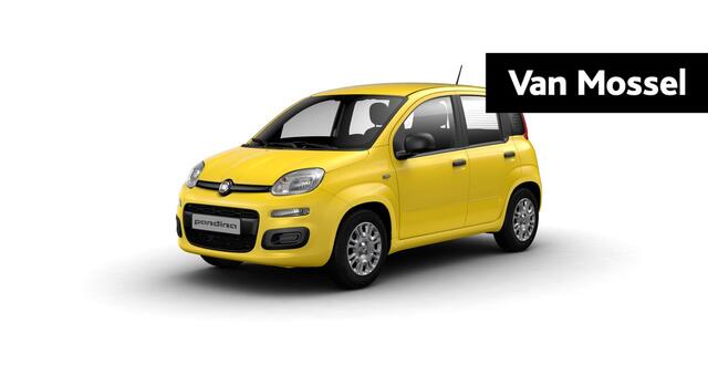 Fiat Pandina 1.0 Icon | PDC | Airco | Radio | 5'' Infotainment | DAB | Cruise Control | Tot 8 jaar speciale garanite!