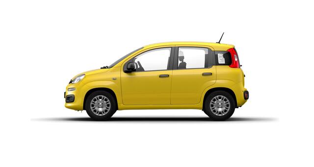 Fiat Pandina 1.0 Icon | PDC | Airco | Radio | 5'' Infotainment | DAB | Cruise Control | Tot 8 jaar speciale garanite!