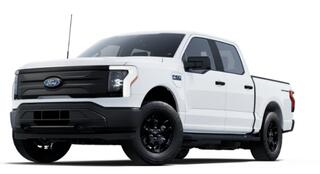 ford-(usa)-f-150-lightning-pro---ex