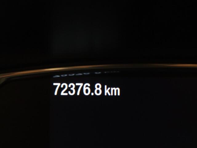 Ford FIESTA 1.0 EcoBoost ST-Line Camera | Cruise | Navi | Parkeersens. v+a | Trekhaak