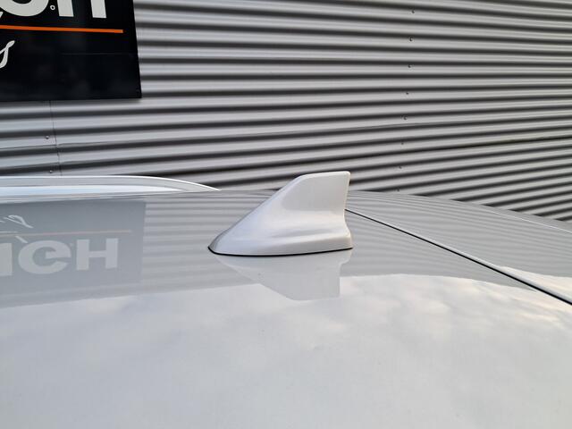 Ford FOCUS Wagon 1.0 EcoBoost Trend Edition Business | Clima | Cruise | LM Velgen | Ndl auto | PDC | Trekhaak | RIJKLAARPRIJS INCL 12 MAANDEN GARANTIE EN BEURT