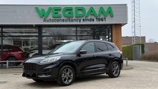 ford-kuga-2.5-phev-st-line-x---trek