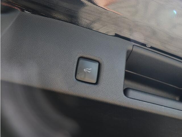 Ford KUGA 2.5 PHEV ST-Line X I Leder I Head-up I Keyless I Dodehoekdetecti