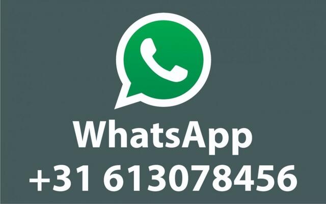 Ford KUGA 2.5 PHEV ST-LINE X 243pk / Trekhaak+19inch+Techno+Winter