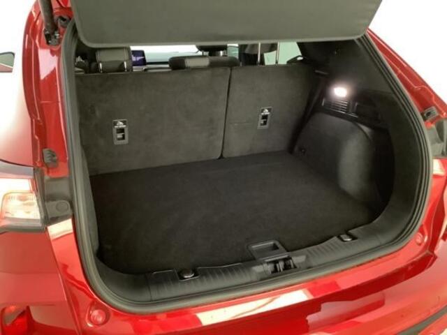 Ford KUGA 2.5 PHEV Vignale 225pk Wegklapbare Trekhaak | Adaptieve Cruise | Winterpack | Elektrische Achterklep | Head up Display | 20 inch velgen