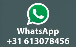 ford-kuga-2.5-phev-st-line-x-agr-st