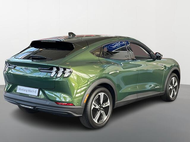 Ford MUSTANG Mach-E RWD 75 kWh Snel leverbaar |